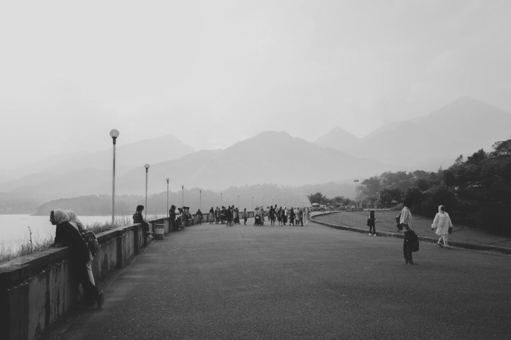 people enjoying from the viewpoint